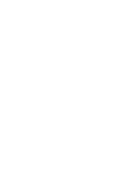 Lynch Pin Holdings | Scale Up SMEs